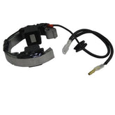 Flywheel Stator 50CCM LC 2001 (45139004000)